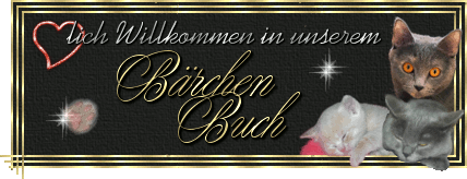 Baerche.nBuch
