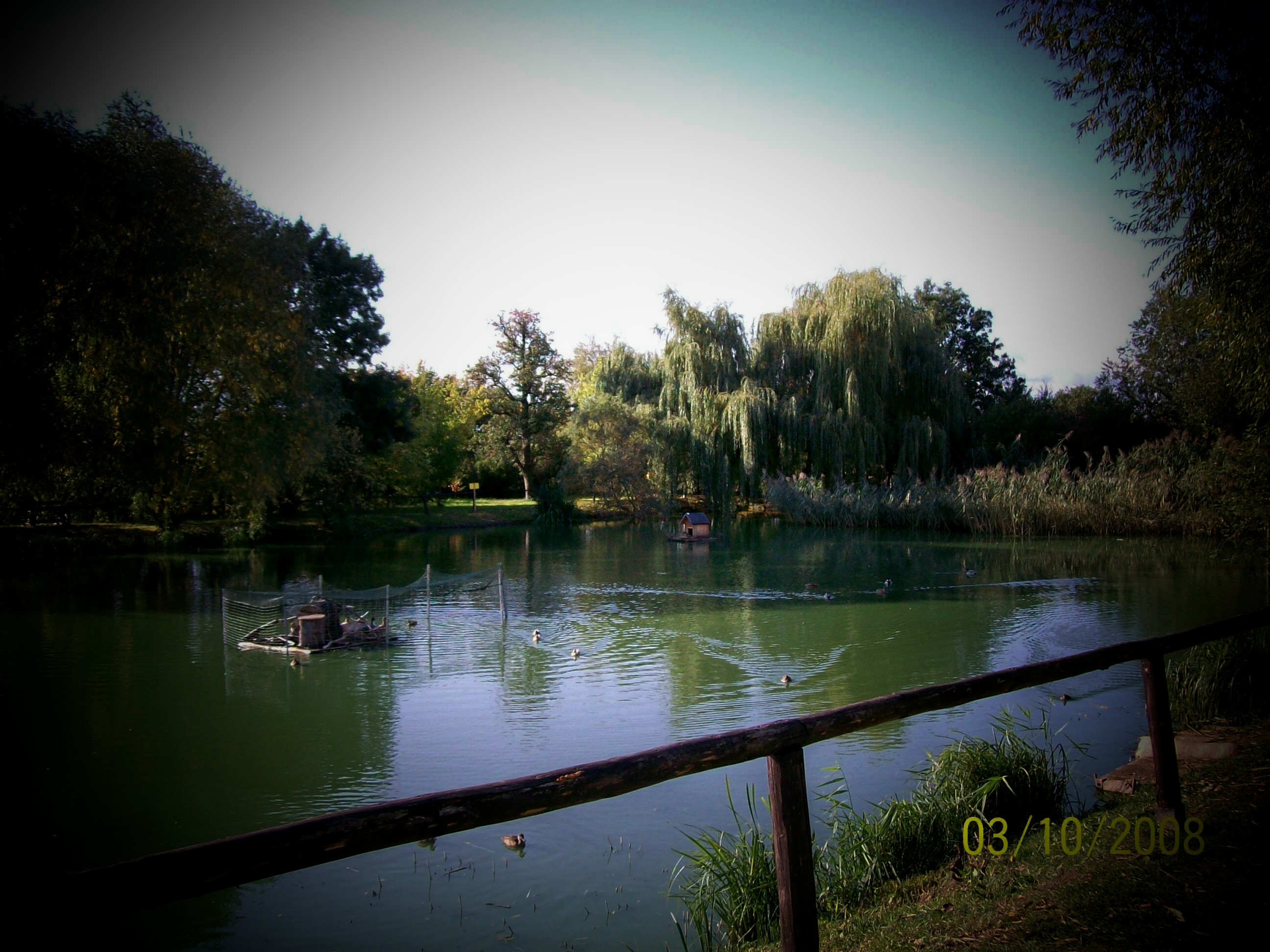 Teich Altschöndorf