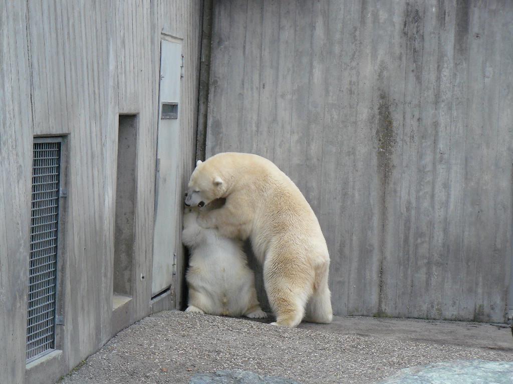 Wilbär und Corinna